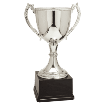 Gold Completed Zinc Cup Trophy