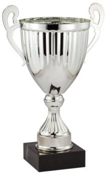 Silver Assembled Cup