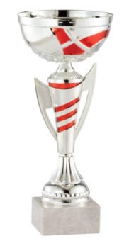 Red  and Silver Award Cup