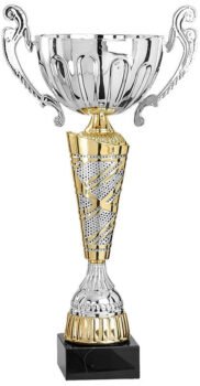 Assembled Gold and Silver Cup Trophy