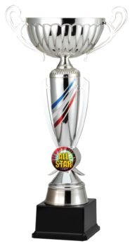 Silver Cup with Red/Blue Design on Elegant Synthetic Black Base.