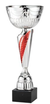 Silver/Red Affinity Cup