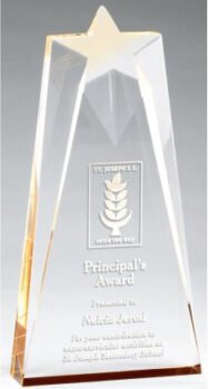 Gold Star Acrylic Award