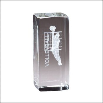 Sport Crystal Volleyball, Male  Award