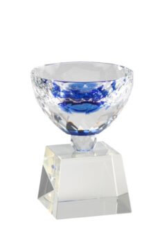 Crystal Bowl Shaped Trophy