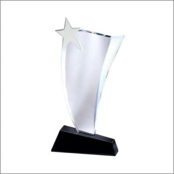 Crystal Wave with Silver Star