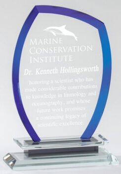 Crystal Cool Blue Halo Award on Crystal Base