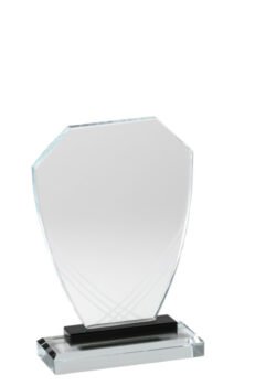 Etched Shield Crystal