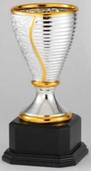 Ceramic Silver and Gold Cup