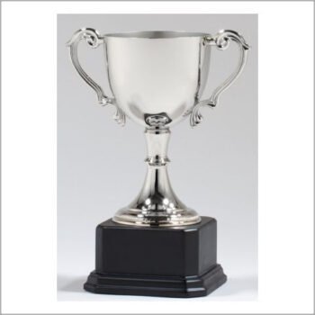 Die Cast Nickel Plated Cup Trophy