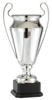 Silver Award  Cup
