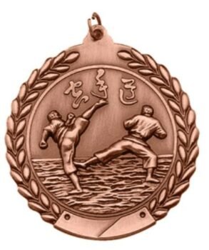 Scholastic Medal - Karate