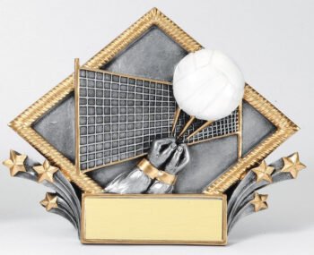 Resin Diamond Plate -Volleyball