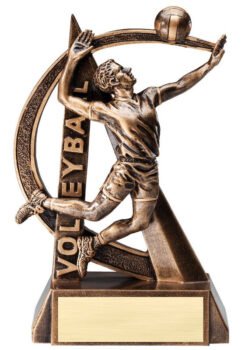 Ultra Action Resin Trophy -Volleyball Male