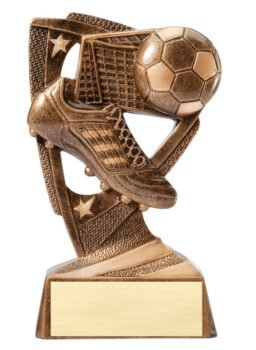 Stars Resin Award -Soccer
