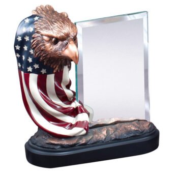Resin Eagle and Flag with Glass