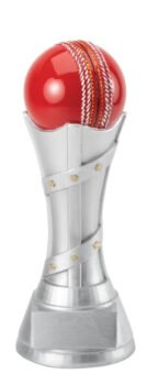 Victory Tower Series - Cricket