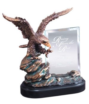 Eagle On Rock With Glass
