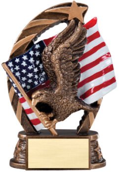 USA Eagle Star Award