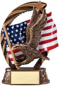 Bronze and Gold Award -Eagle