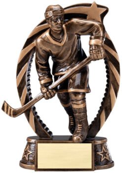 Antique Bronze and Gold Award -Hockey Male