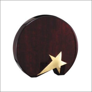 Circle With Shooting Star