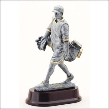 Golf Caddie With Bag