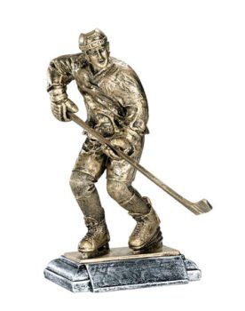 Hockey Trophies